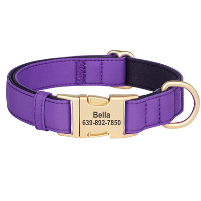 Personalized Nylon Collar