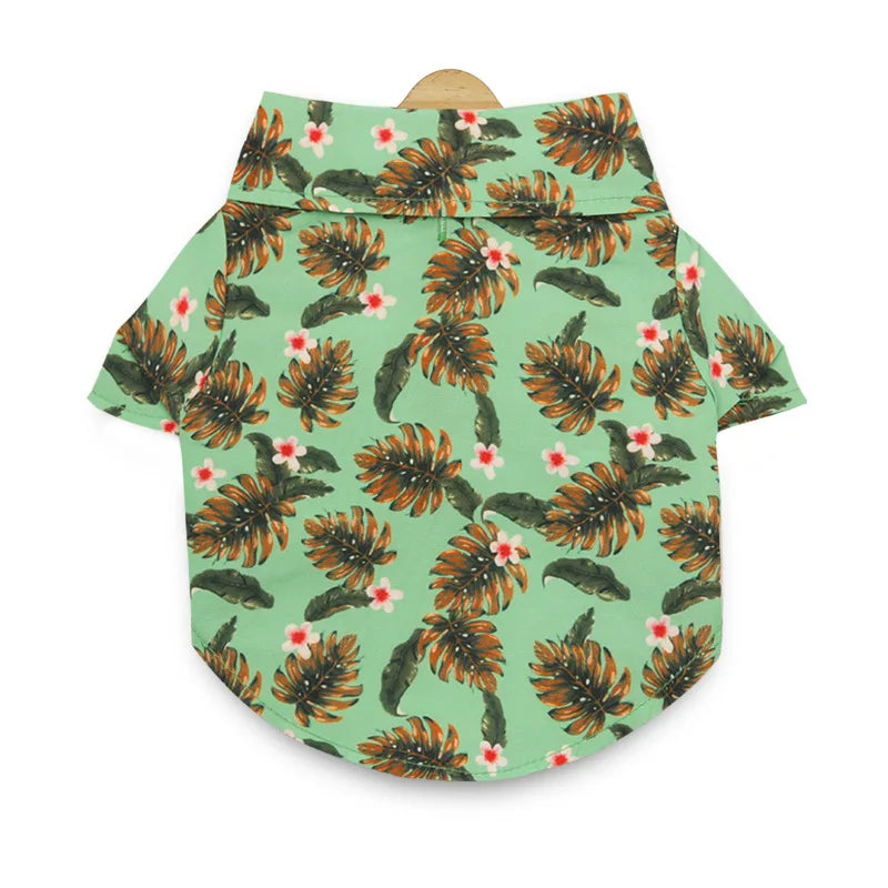 48293545541979|48293545574747|48293545607515|48293545640283|48293545673051