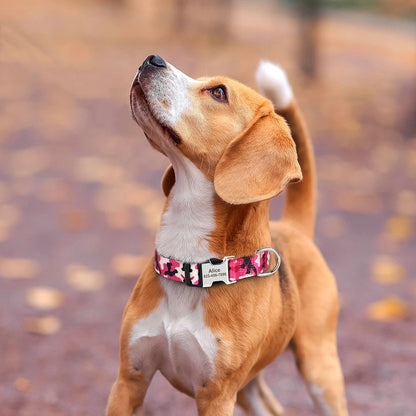 Personalized Collar