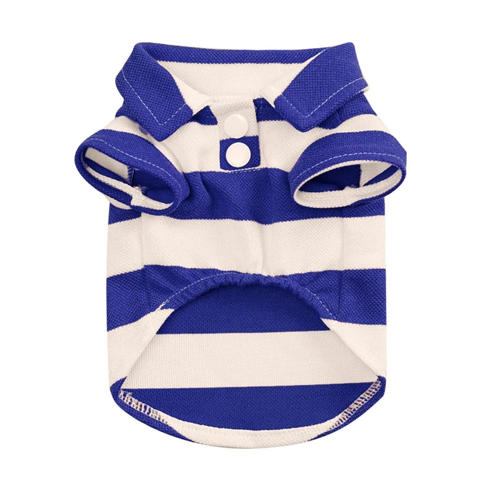 47874251620699|47874251653467|47874251686235|47874251751771|47874251784539