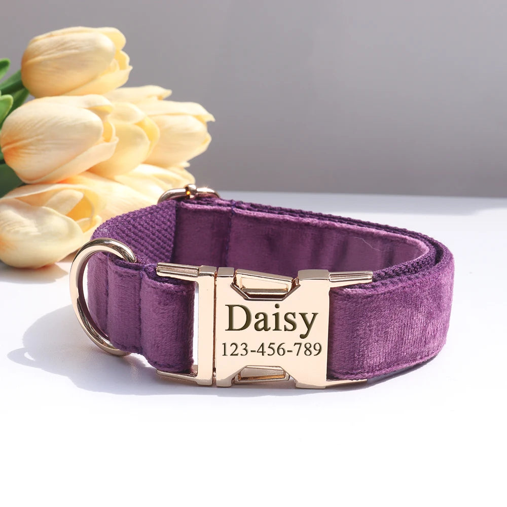 Personalized Collar