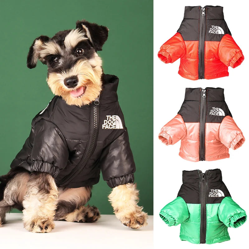 The Dog Face Jacket