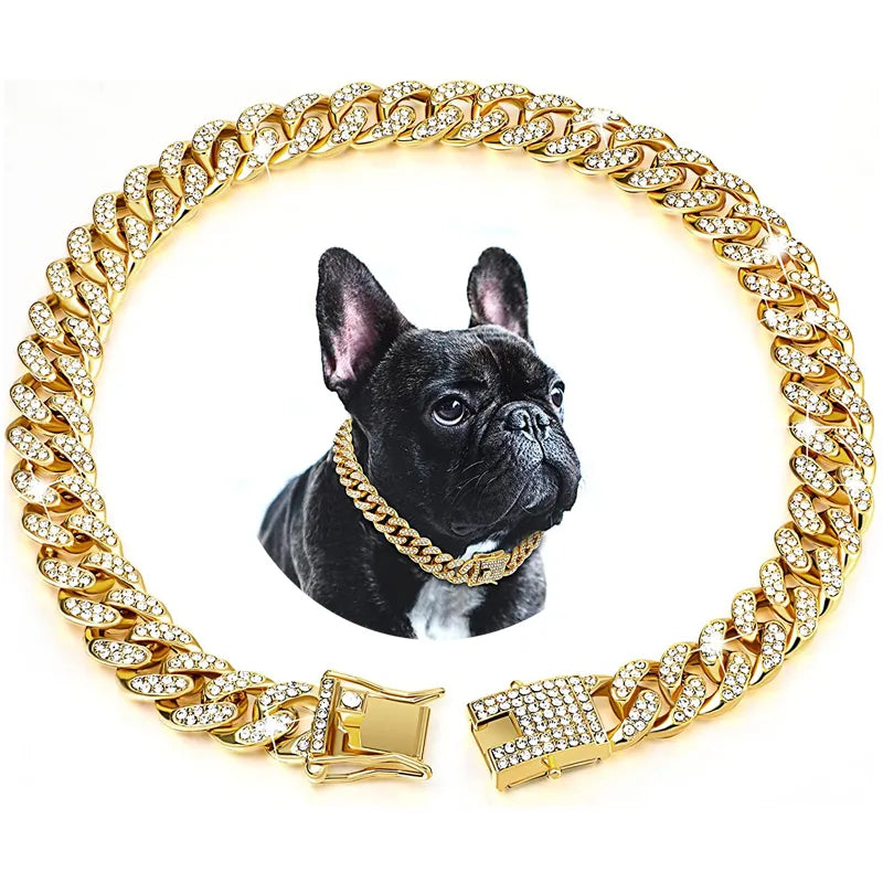 Gold Chain Collar