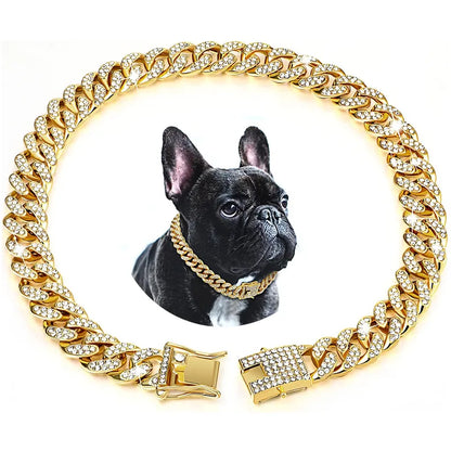 Gold Chain Collar