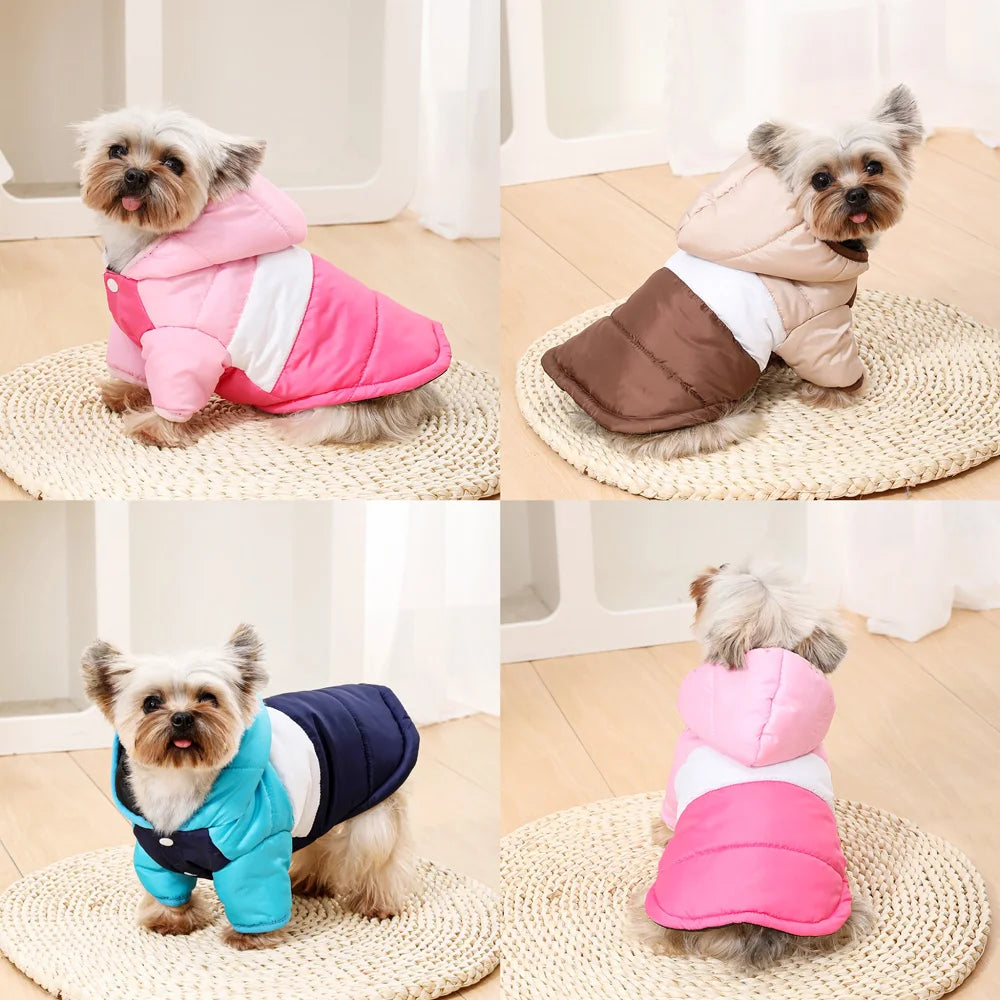 Urban Hoodie