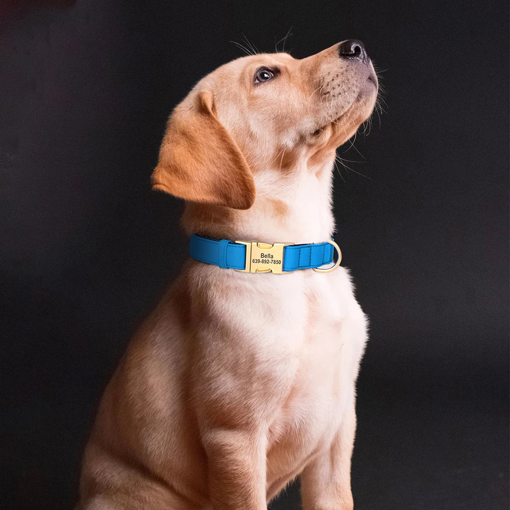 Custom Nylon Collar