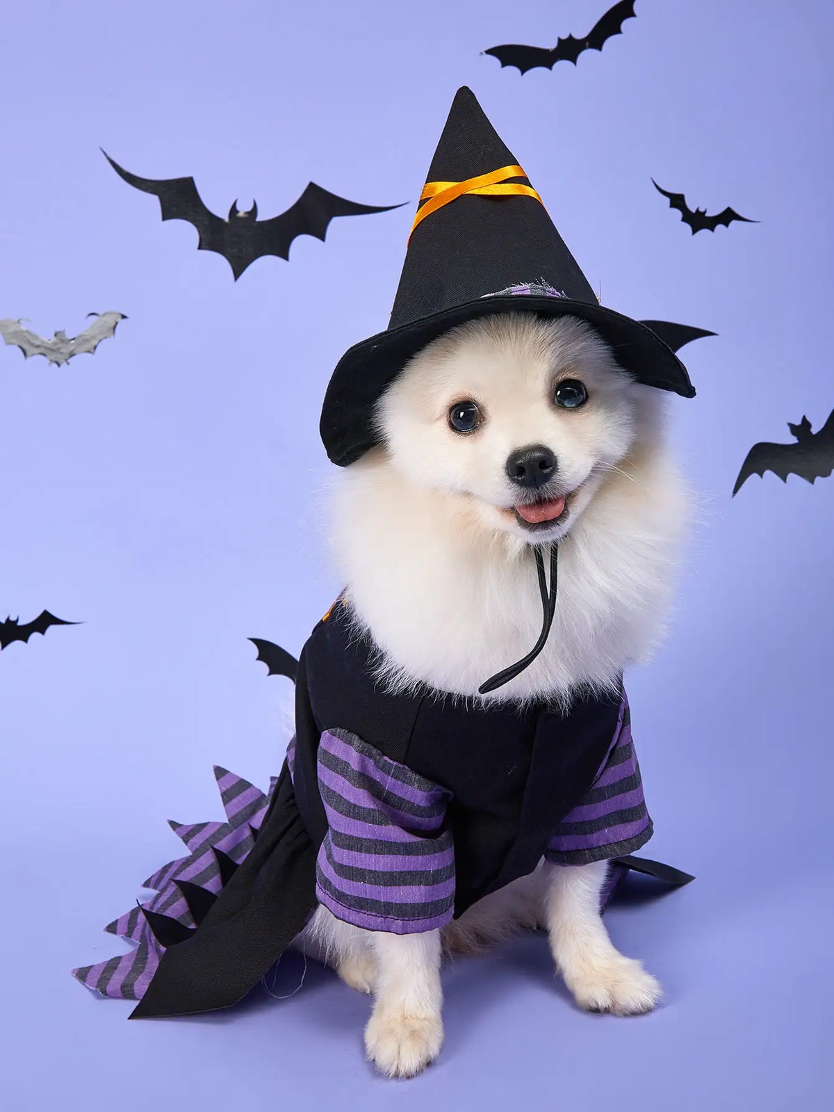 Halloween Cosplay