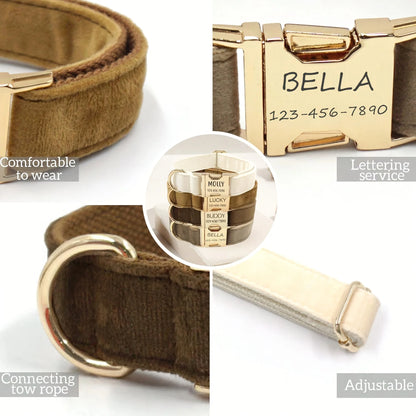Personalized Collar
