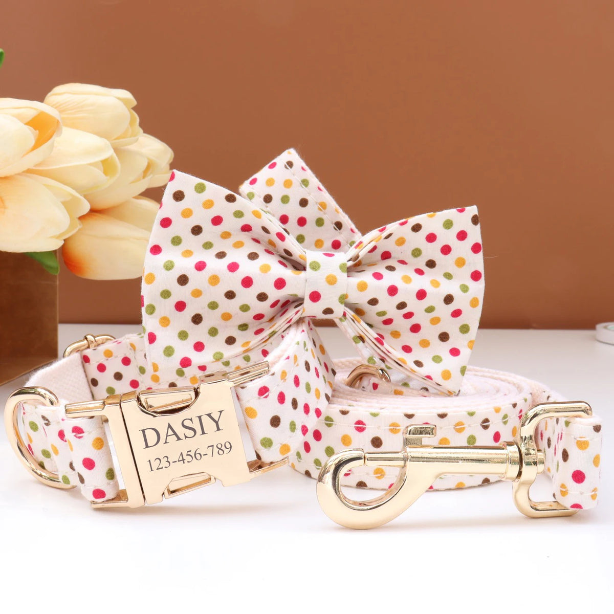 Custom Collar & Leash