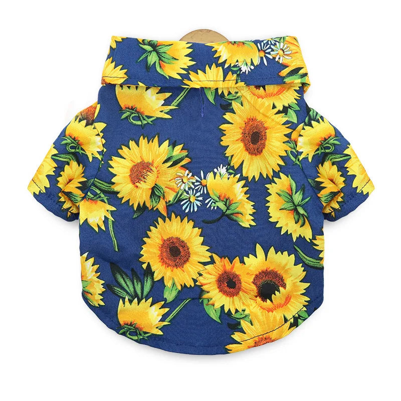 48293547540827|48293547639131|48293547671899|48293547704667|48293547737435