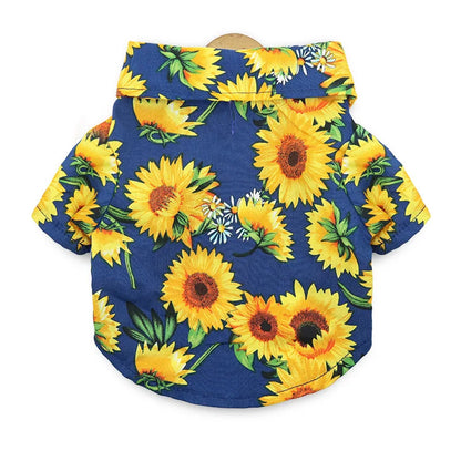 48293547540827|48293547639131|48293547671899|48293547704667|48293547737435