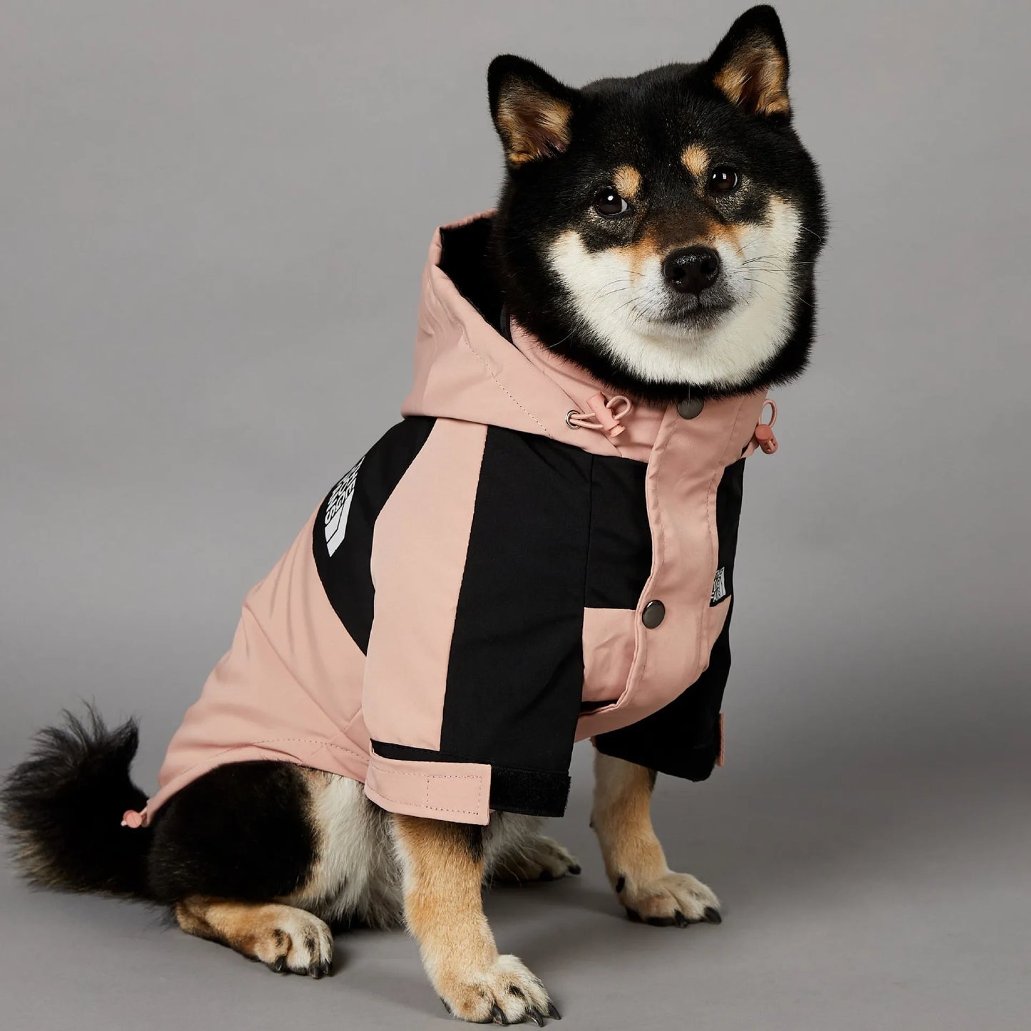 The Dog Face Raincoat
