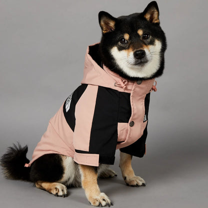 The Dog Face Raincoat