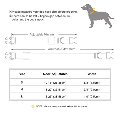 Personalized Nylon Collar