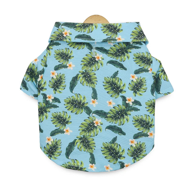 48293545836891|48293545869659|48293545902427|48293545935195|48293545967963