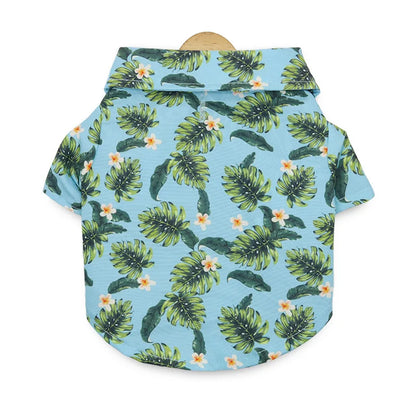 48293545836891|48293545869659|48293545902427|48293545935195|48293545967963