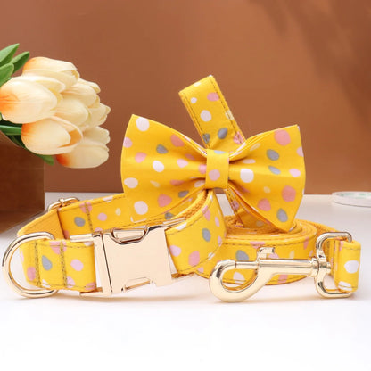 Custom Collar & Leash