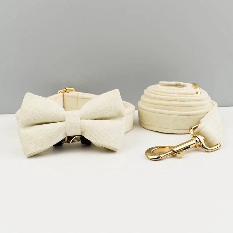 Adjustable Collar & Leash