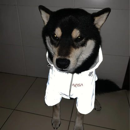 Reflective Rain Jacket