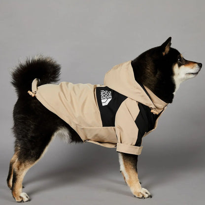 The Dog Face Raincoat