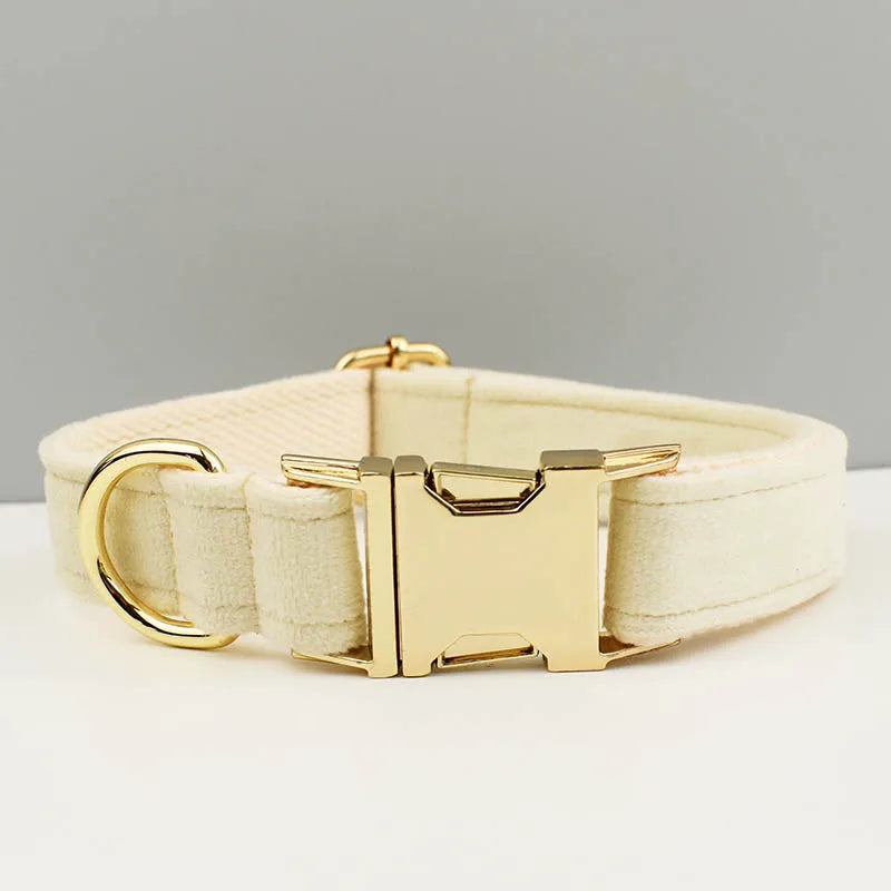 Adjustable Collar & Leash