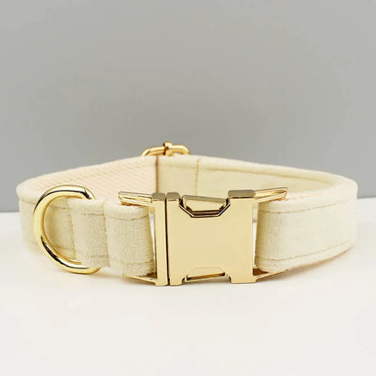 Adjustable Collar & Leash