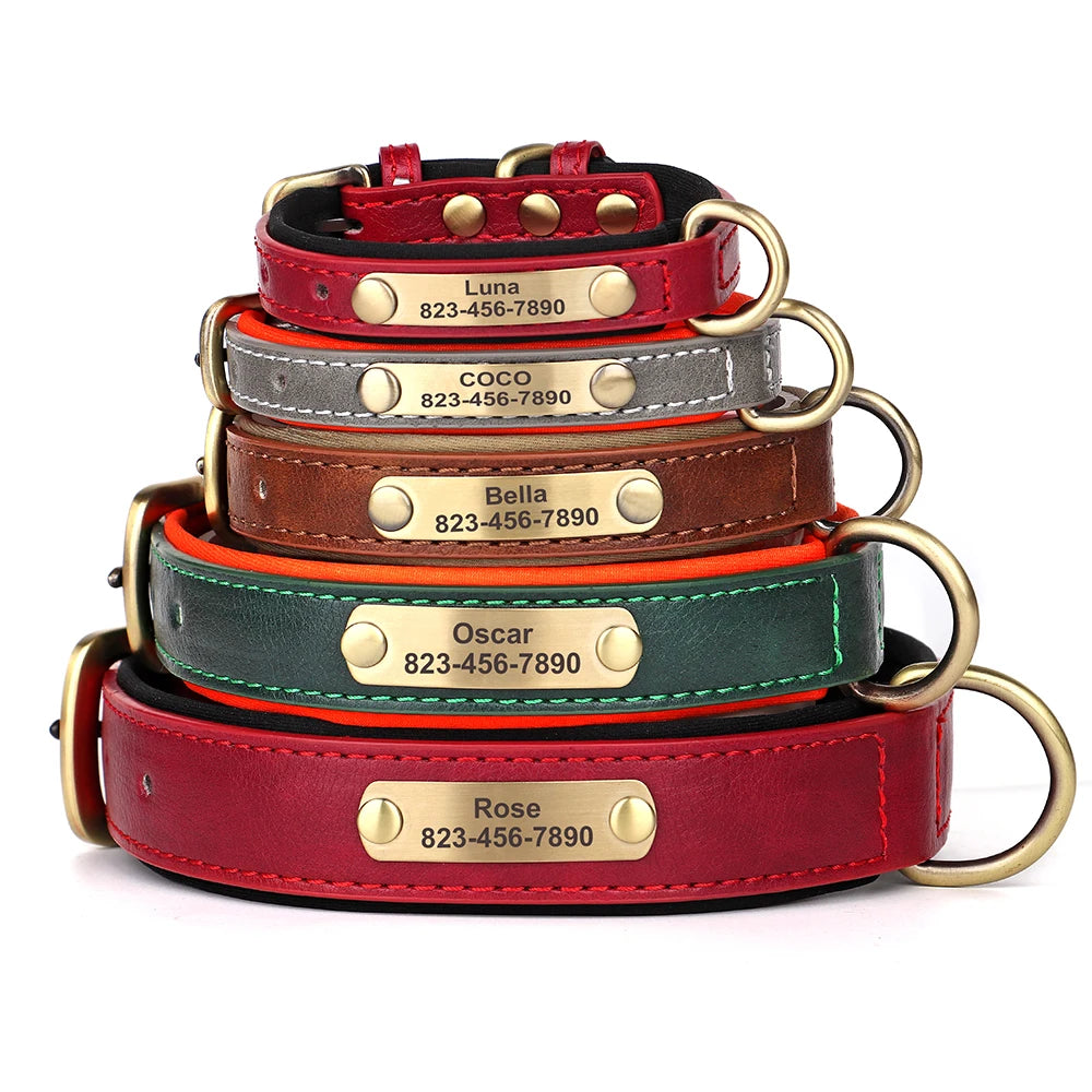 Personalized Leather Collar