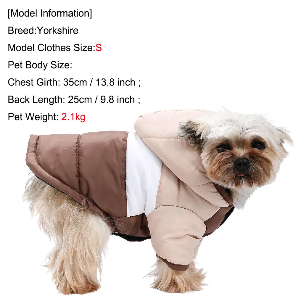 Urban Hoodie