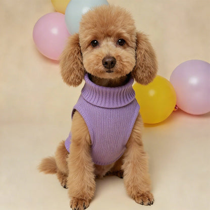 Cozy Knit Sweater