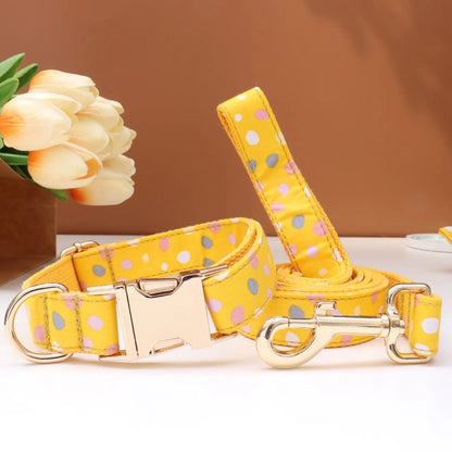 Custom Collar & Leash