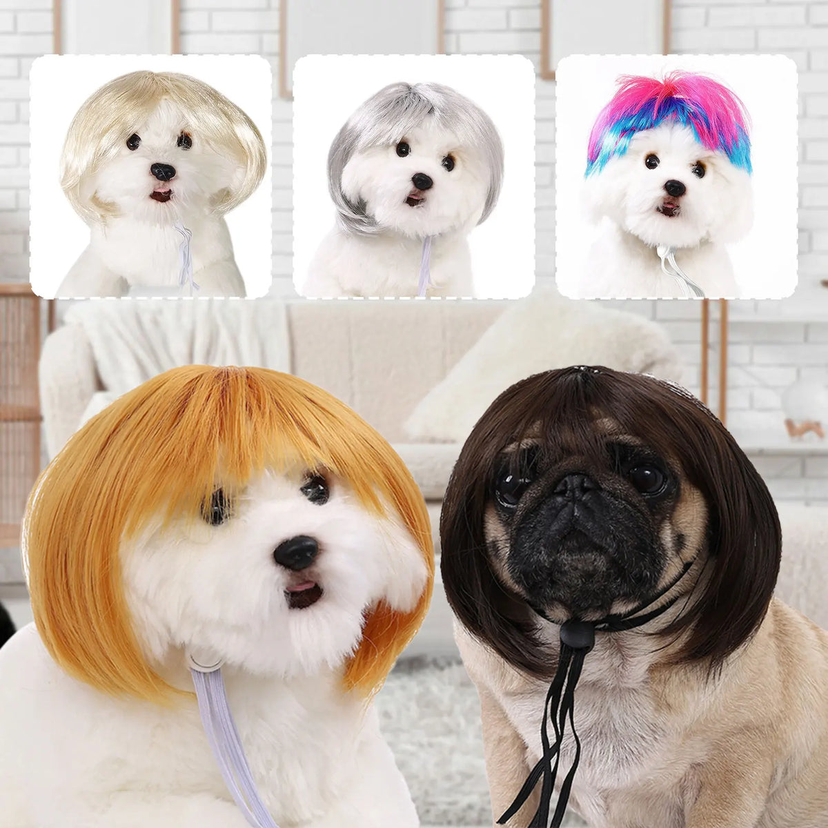 Playful Wig