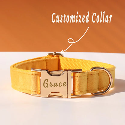 Personalized Collar