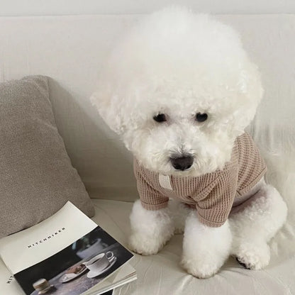 Cozy Soft Shirt