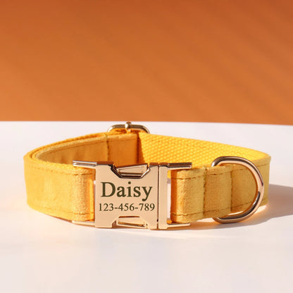 Personalized Collar