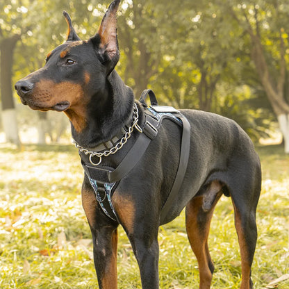 Reflective Harness