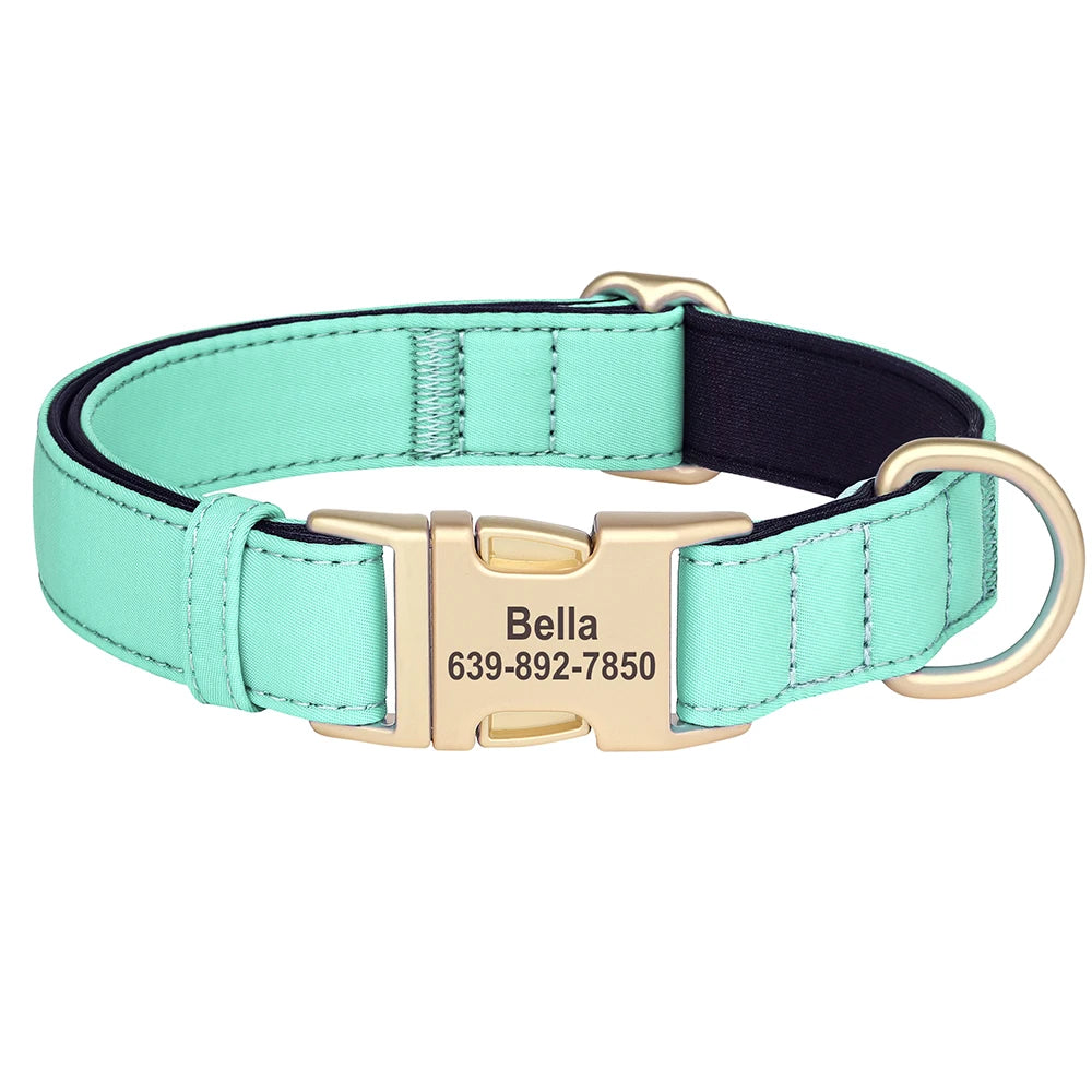 Personalized Nylon Collar