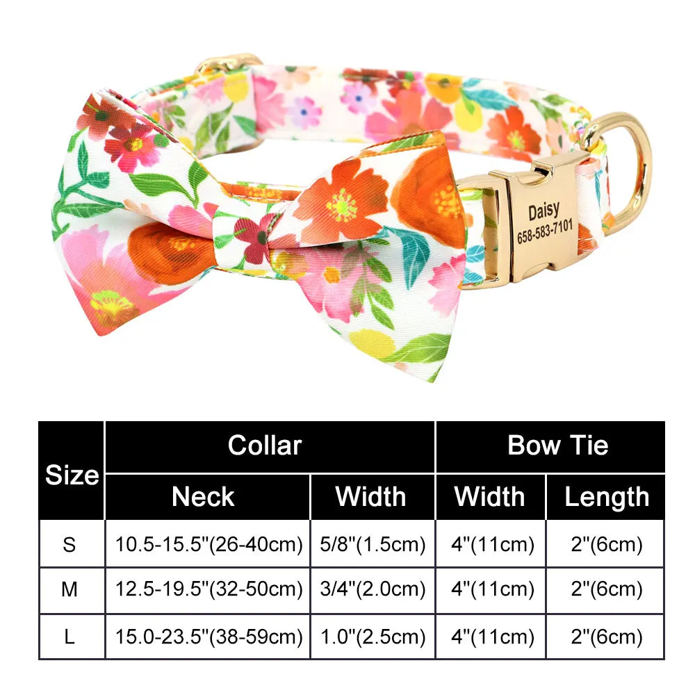 47874043314523|47874043380059|47874043412827