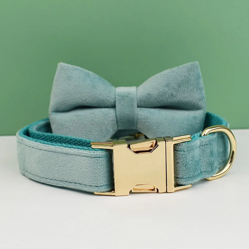Adjustable Collar & Leash