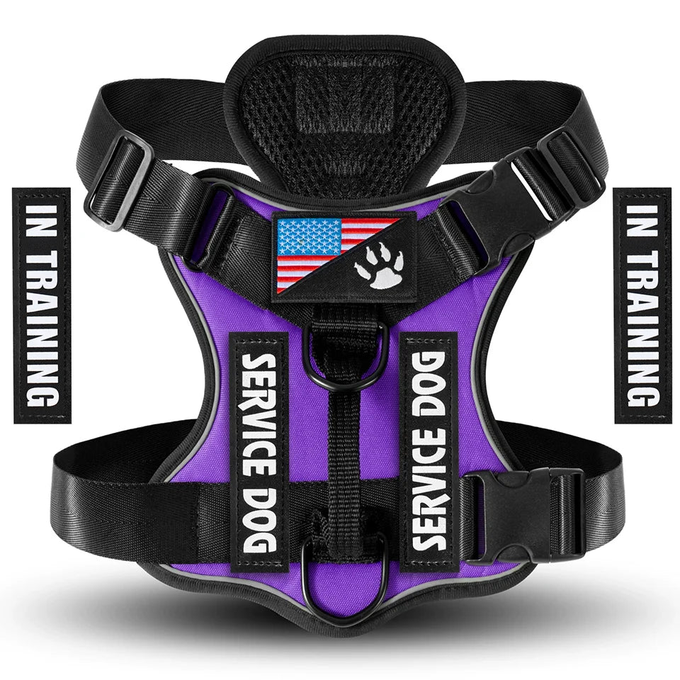 Reflective Harness