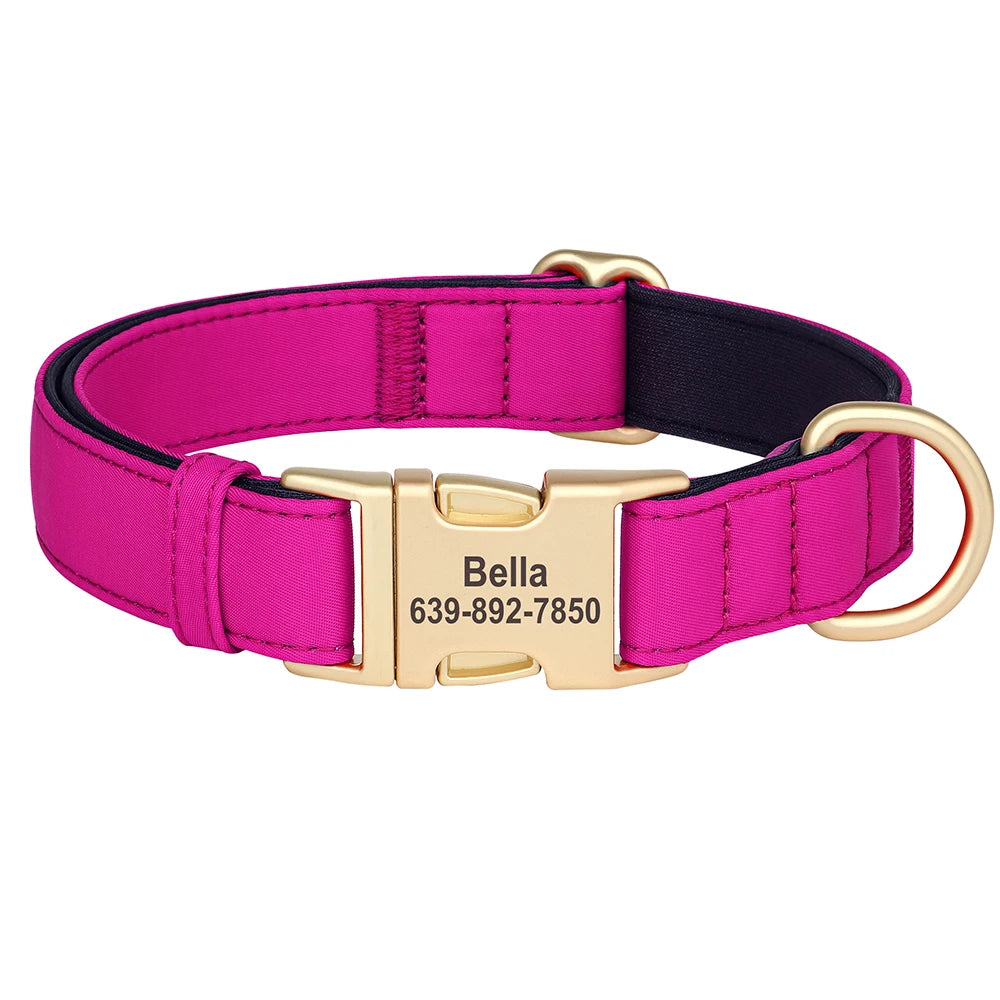 Personalized Nylon Collar
