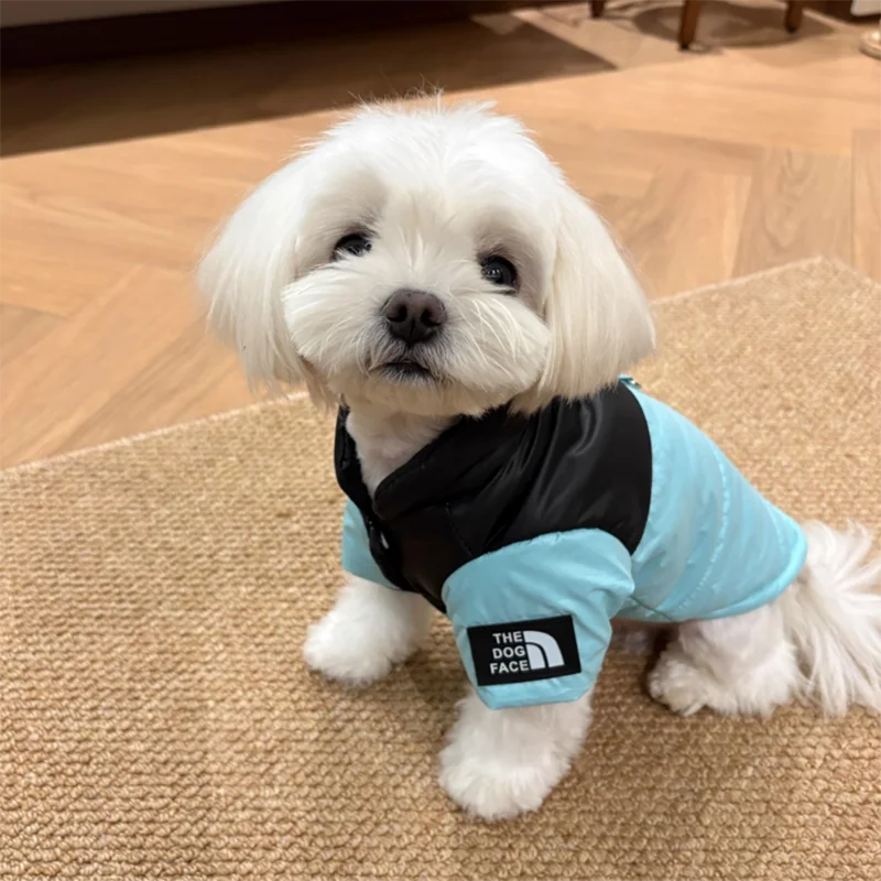 The Dog Face Jacket