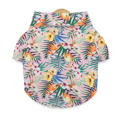 48293547016539|48293547049307|48293547147611|48293547213147|48293547245915