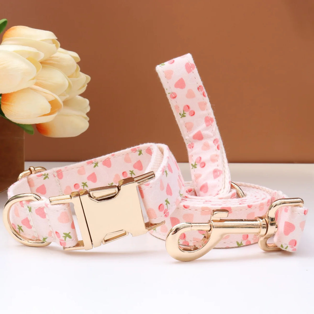 Custom Collar & Leash
