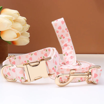 Custom Collar & Leash