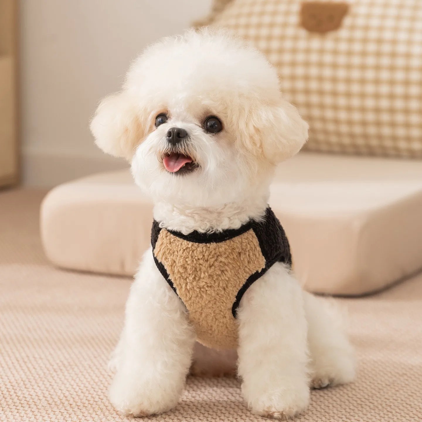 The Dog Face Jacket