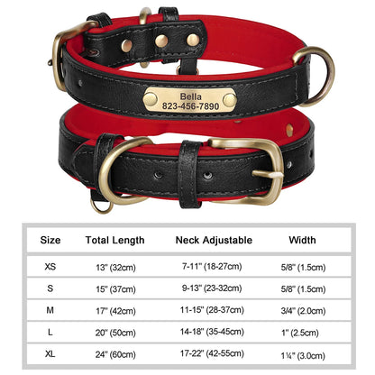 Personalized Leather Collar