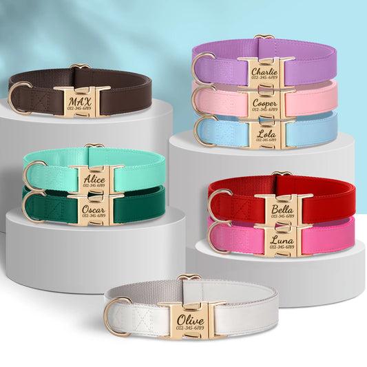 Engraved Leather Collar