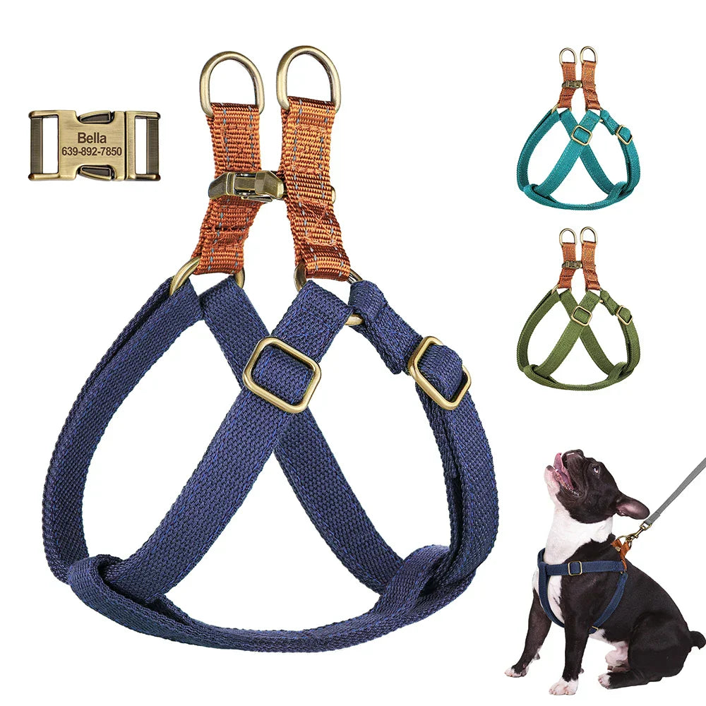 Personalized Harness