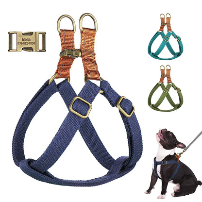 Personalized Harness