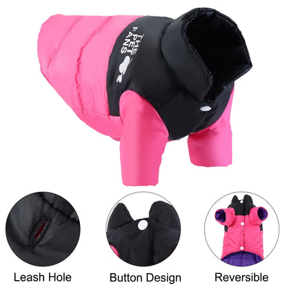 Reversible The Dog Face Jacket
